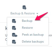choose backup
