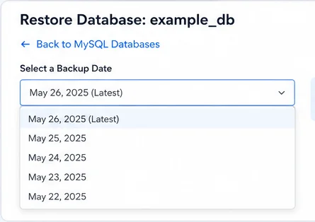 access backup