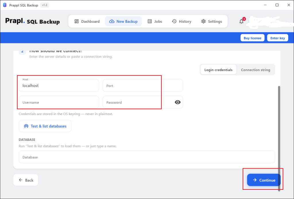 Enter your Aiven database login details