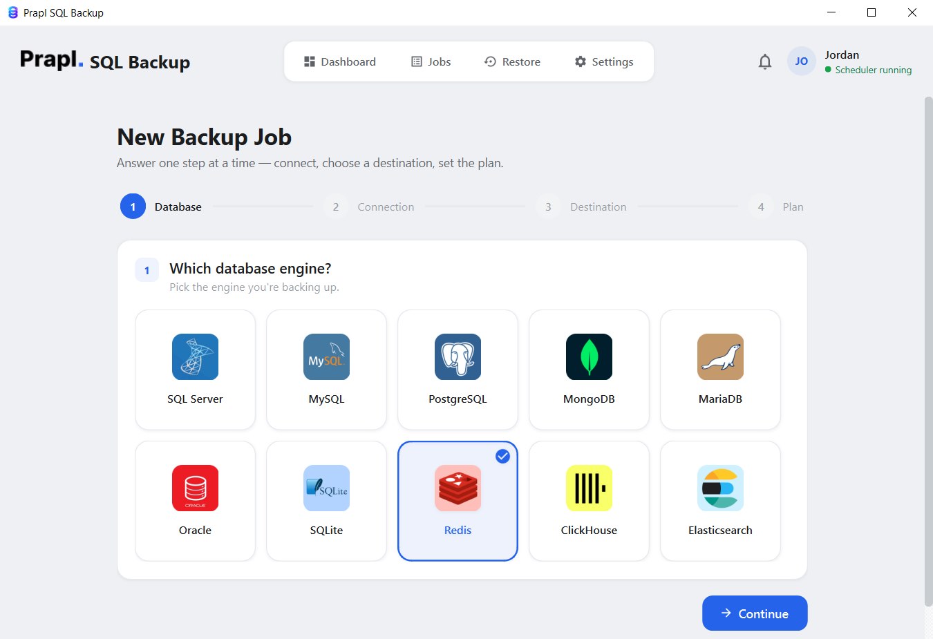 select redis in the backup wizard